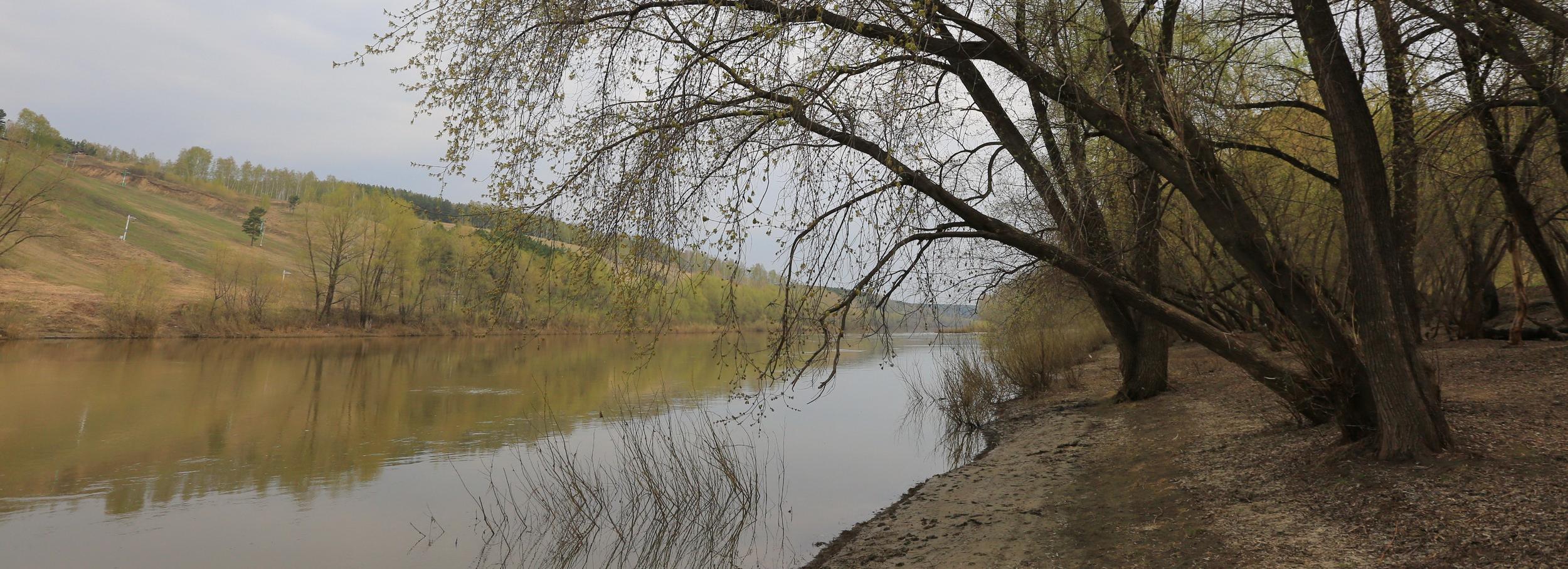 Дождевой сад, археопарк и гребной клуб появятся на берегу реки Ини