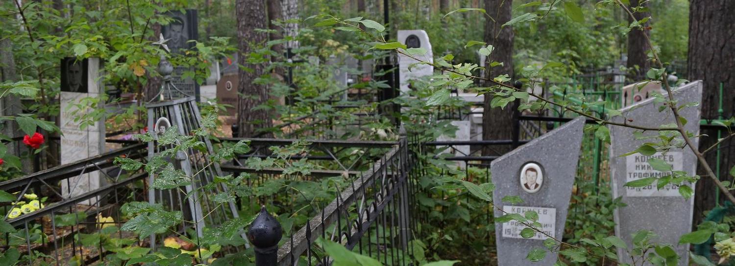 Семь новосибирских кладбищ обрабатывают от клещей