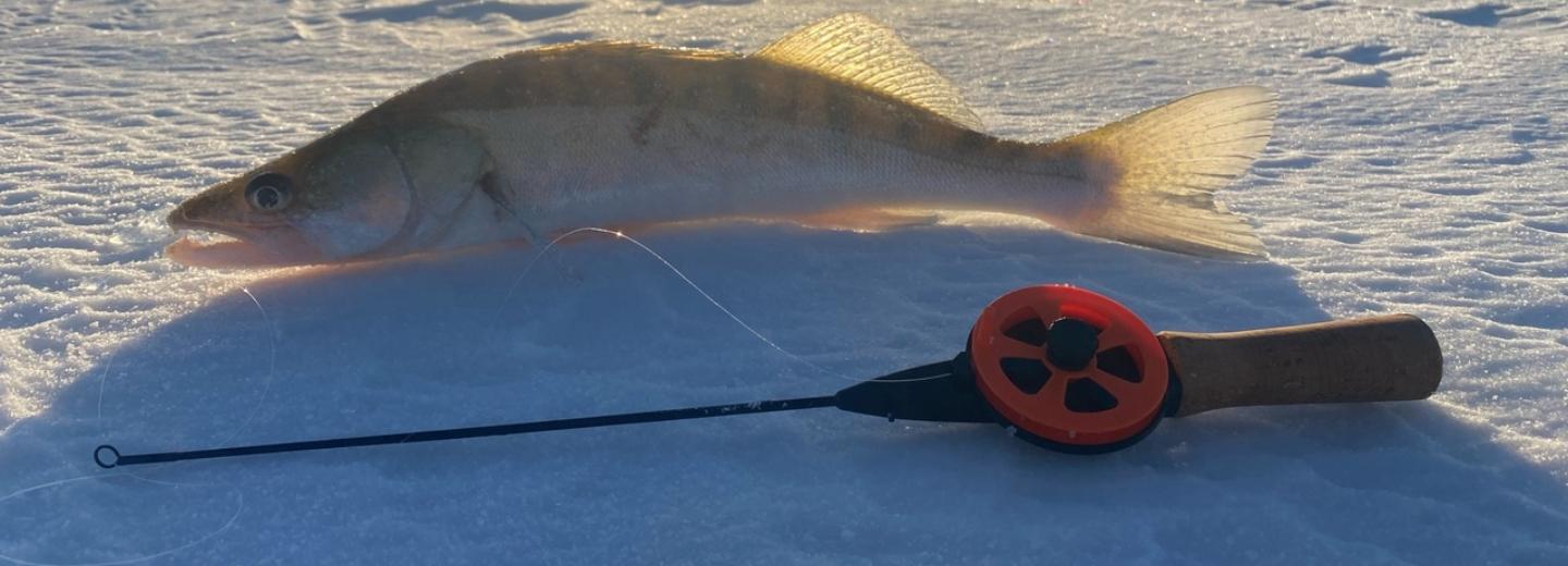 Суп и сиденья с подогревом советуют брать на рыбалку спасатели
