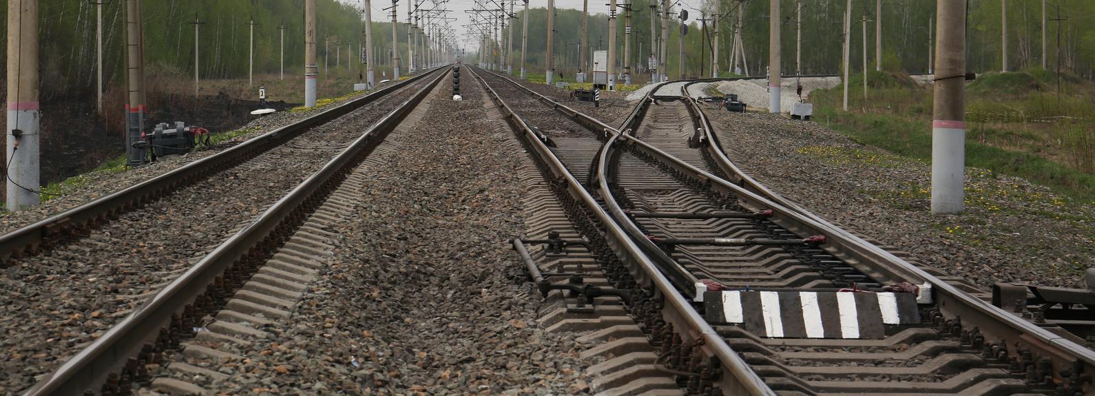 Мужчину с усами сбил поезд под Новосибирском: полиция выясняет, кто он