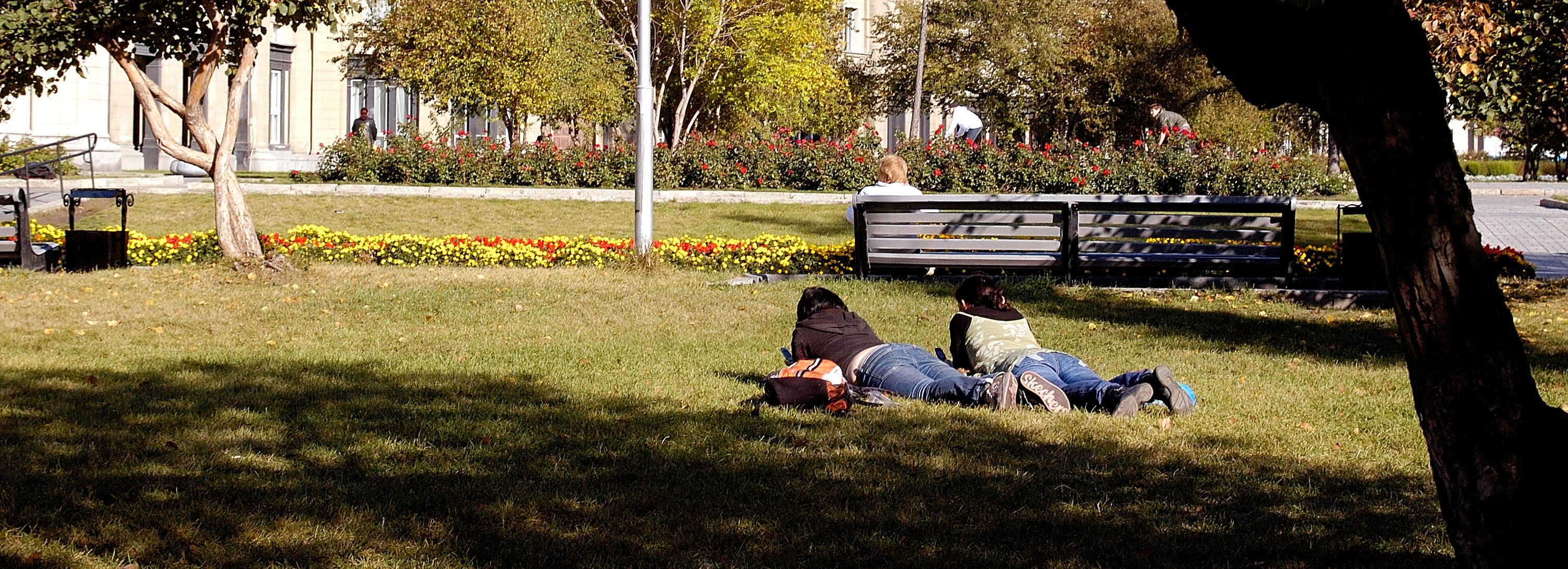 К врачам устремились сибиряки с аллергией на солнце и траву