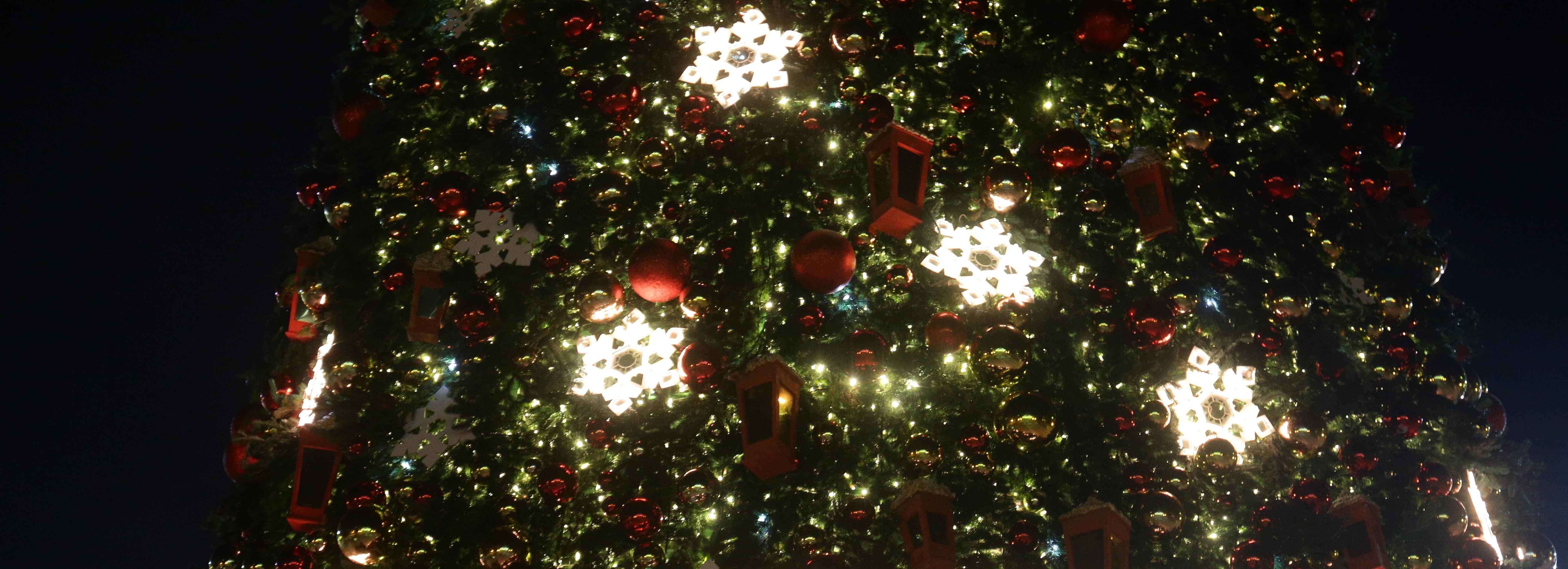 На площади Ленина засияла новогодняя ёлка: 12 праздничных фото