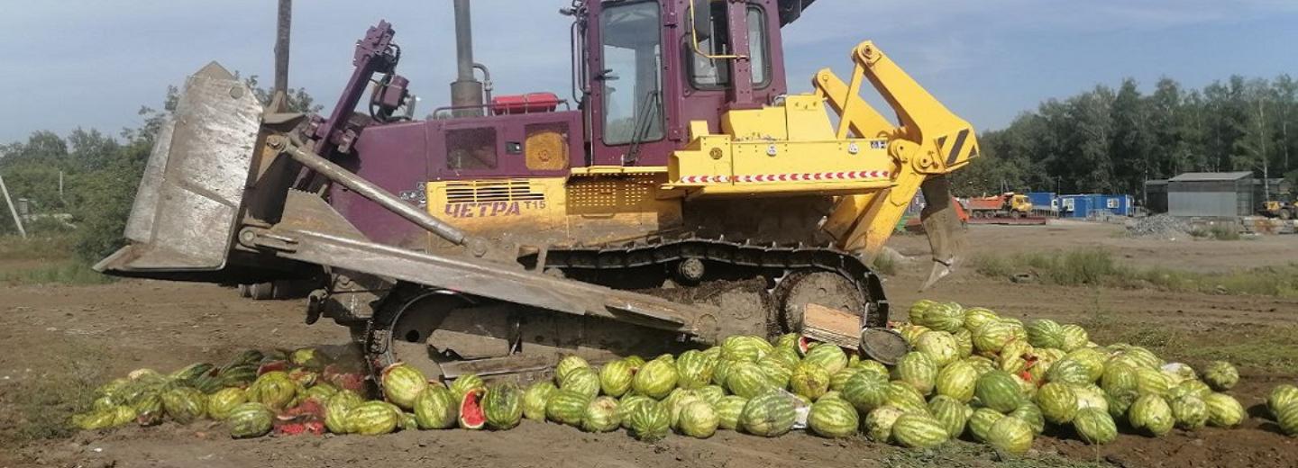Под бульдозером погибли 20 тонн арбузов: почему их пришлось уничтожить