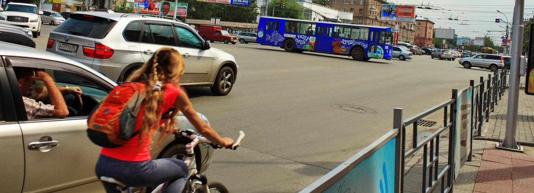 Новосибирцев просят напомнить детям о правилах на дорогах