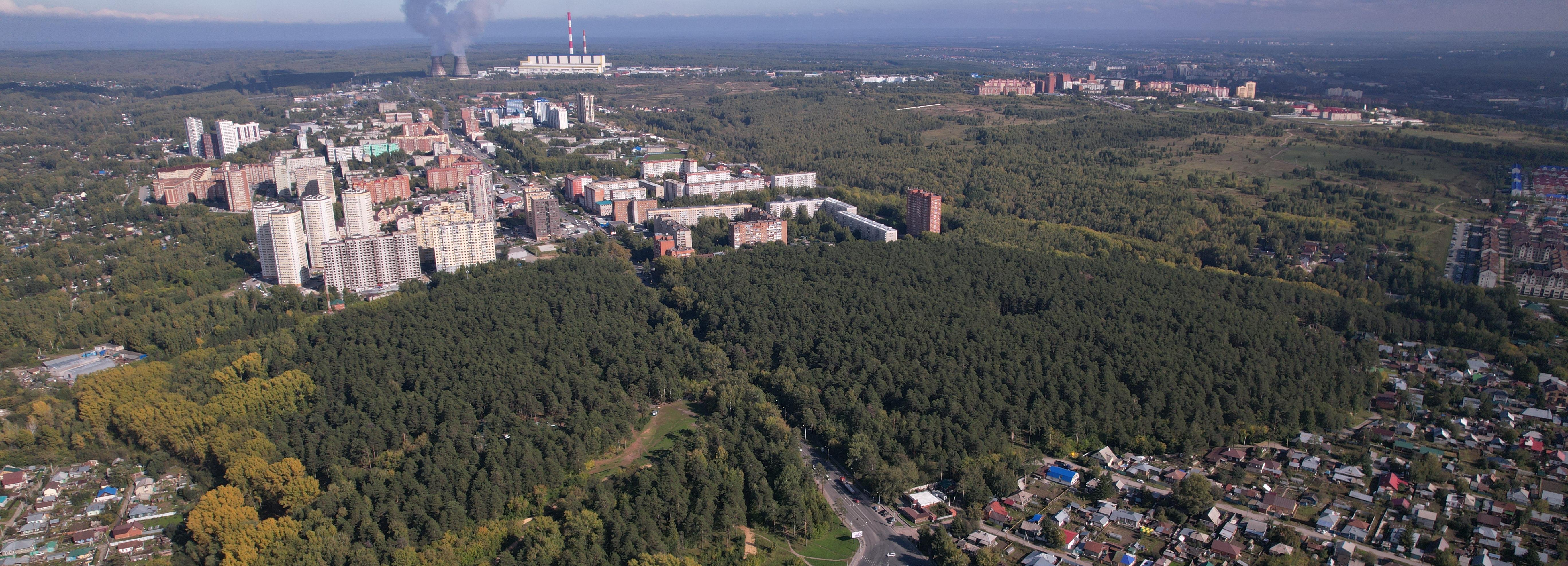 Амфитеатр, лежаки и мост через Камышенку: как преобразят Инюшенский бор