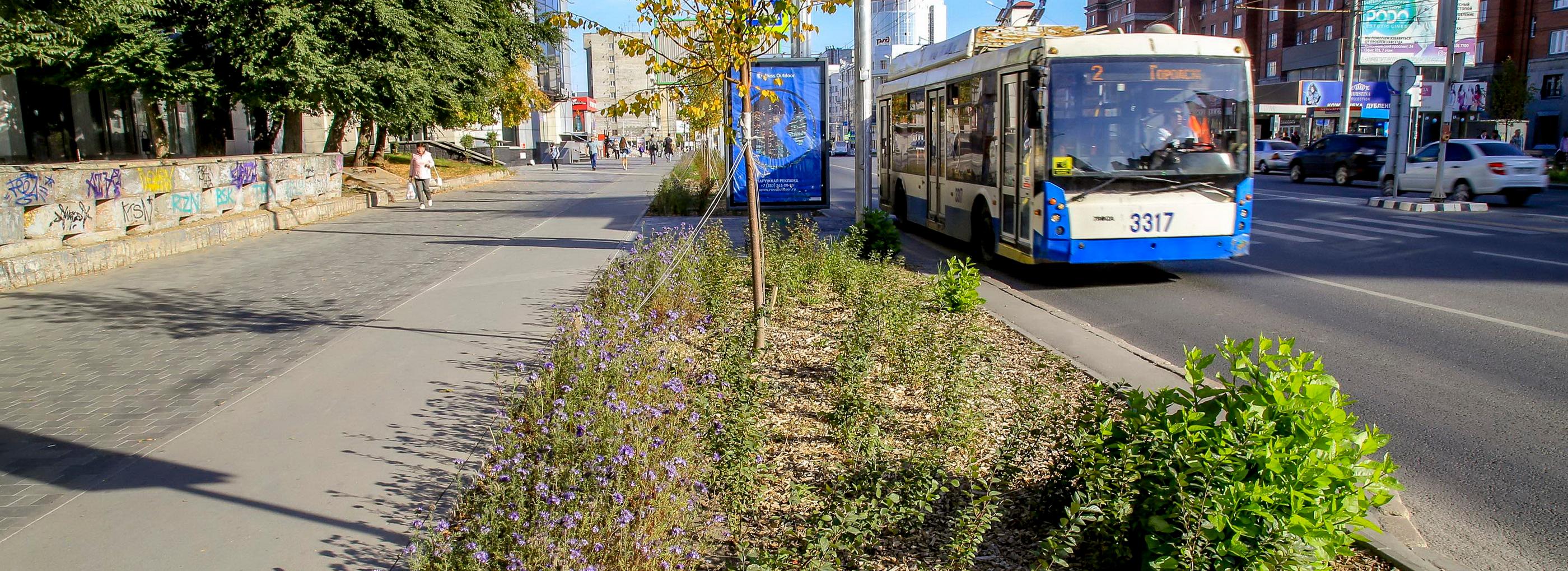 Реконструкция газонов: на каких улицах расстелятся зелёные ковры