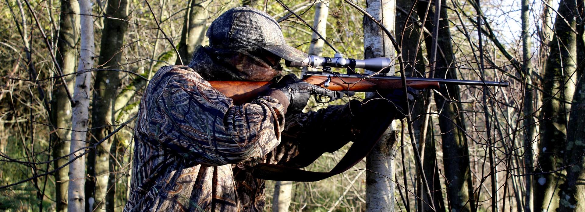 Новосибирцам запретили охоту на гуся белолобого