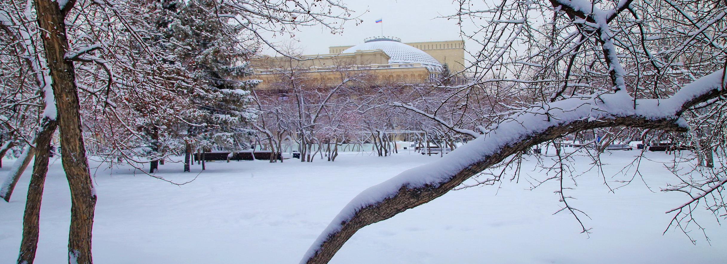 В приоритете — безопасность: парки и скверы перешли на усиленную уборку