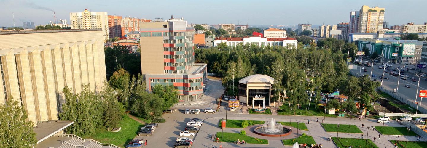 Ивы, липы и волчья ягода украсят сквер у ГПНТБ