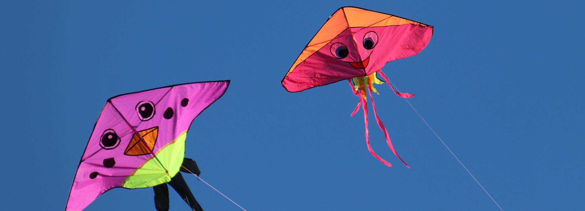 Осенняя неделя добра в Новосибирске — план мероприятий