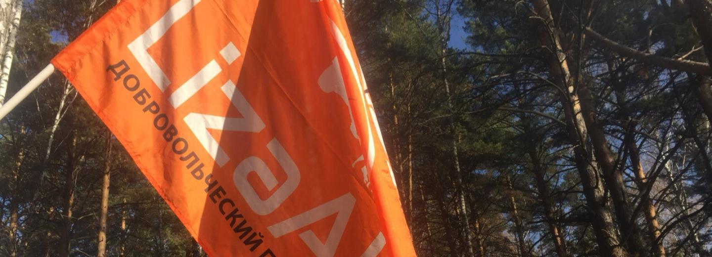 81-летняя бабушка четвёртые сутки блуждает в лесу под Новосибирском