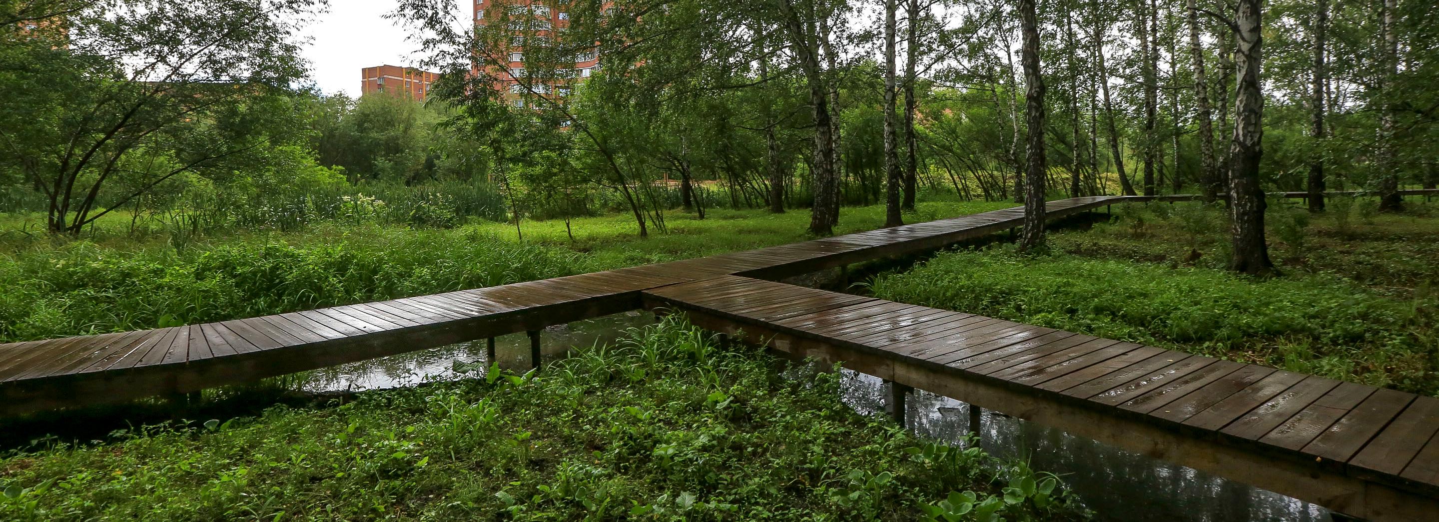 10 зелёных зон планируют благоустроить в Новосибирске в 2025 году