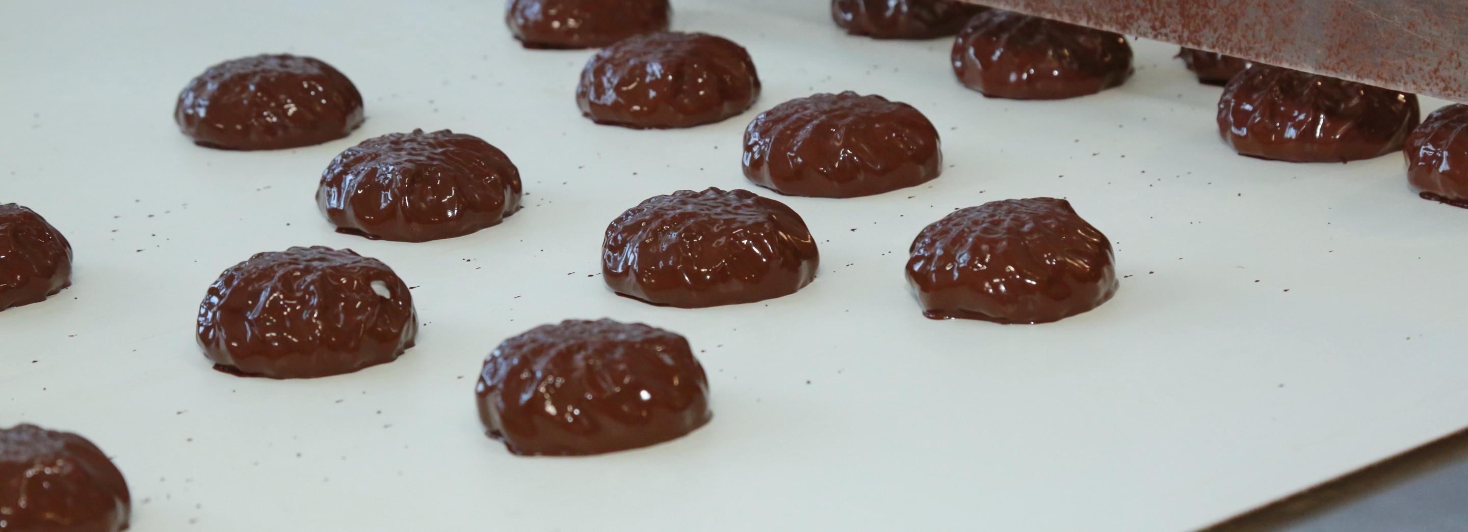 Новосибирские учёные создали полезные сладости с сиропом агавы