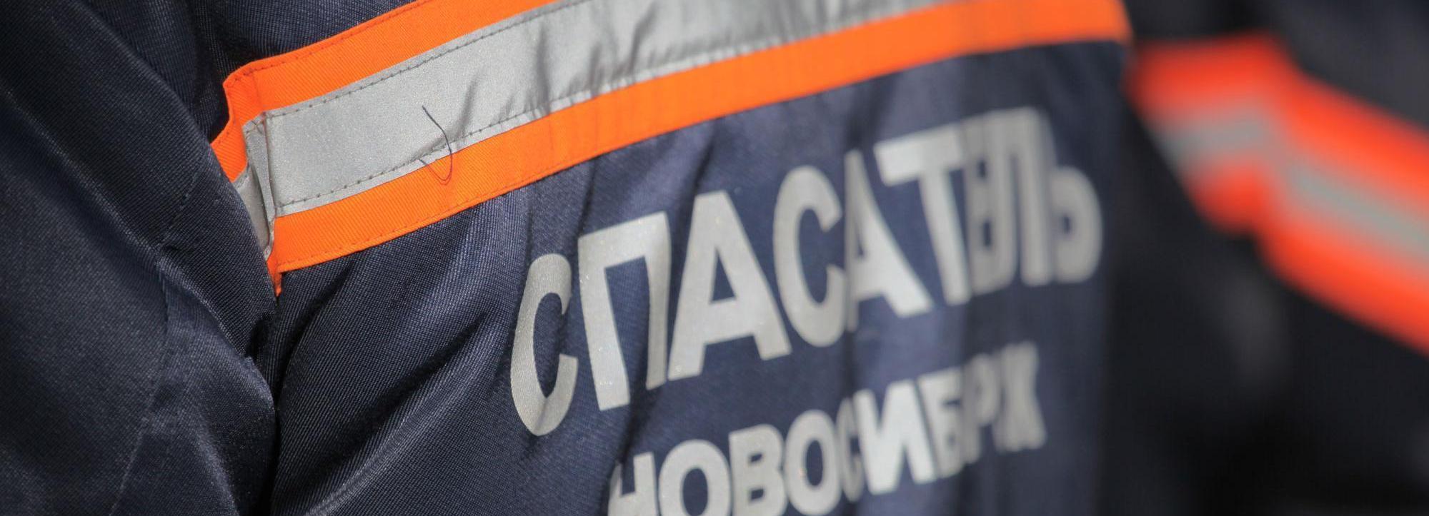 Спасатели пристроили в приют собаку внезапно умершего новосибирца