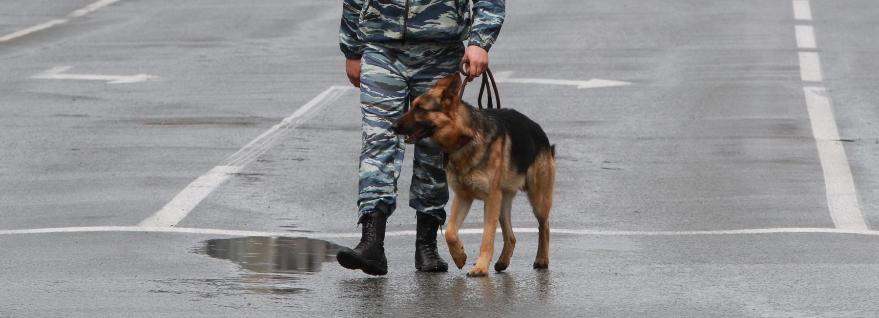 Больницы и суды эвакуировали в Новосибирске из-за угрозы минирования