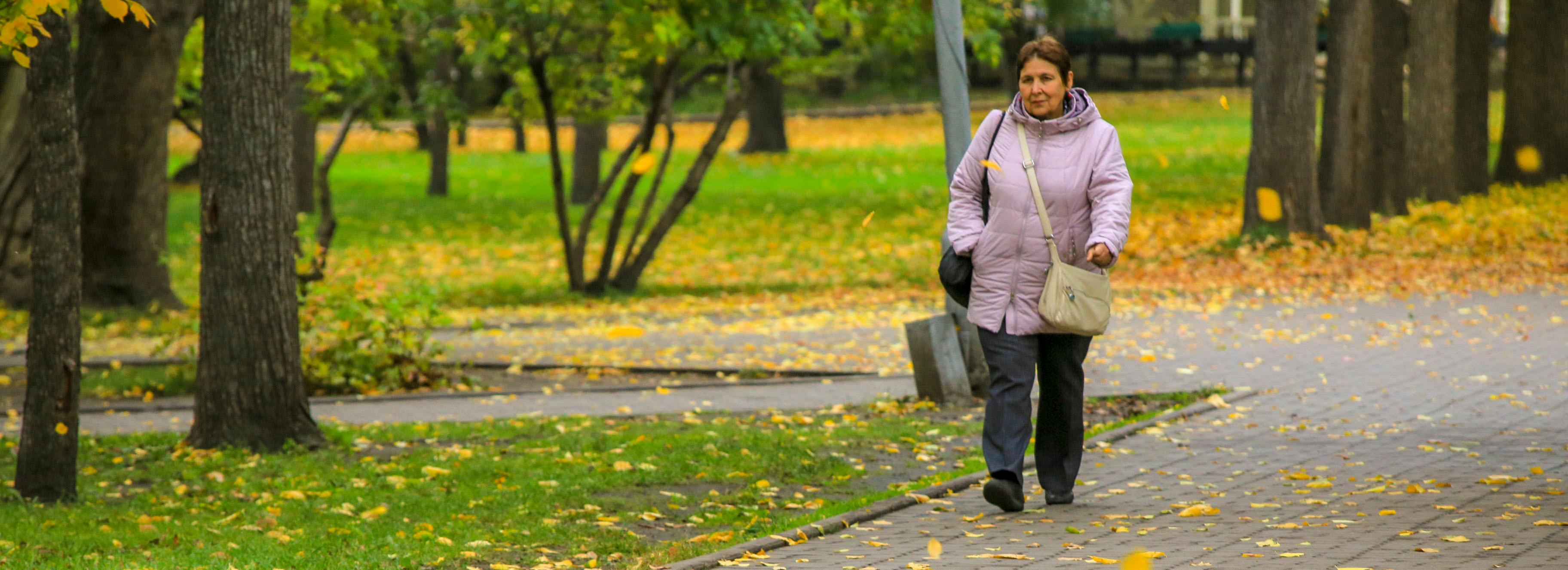О заморозках и туманах предупредили новосибирцев синоптики