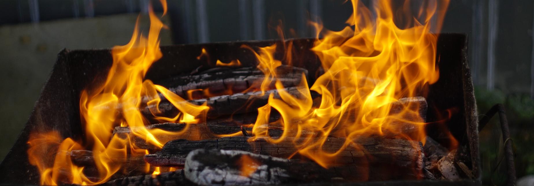 Новосибирцам запретили разводить костры