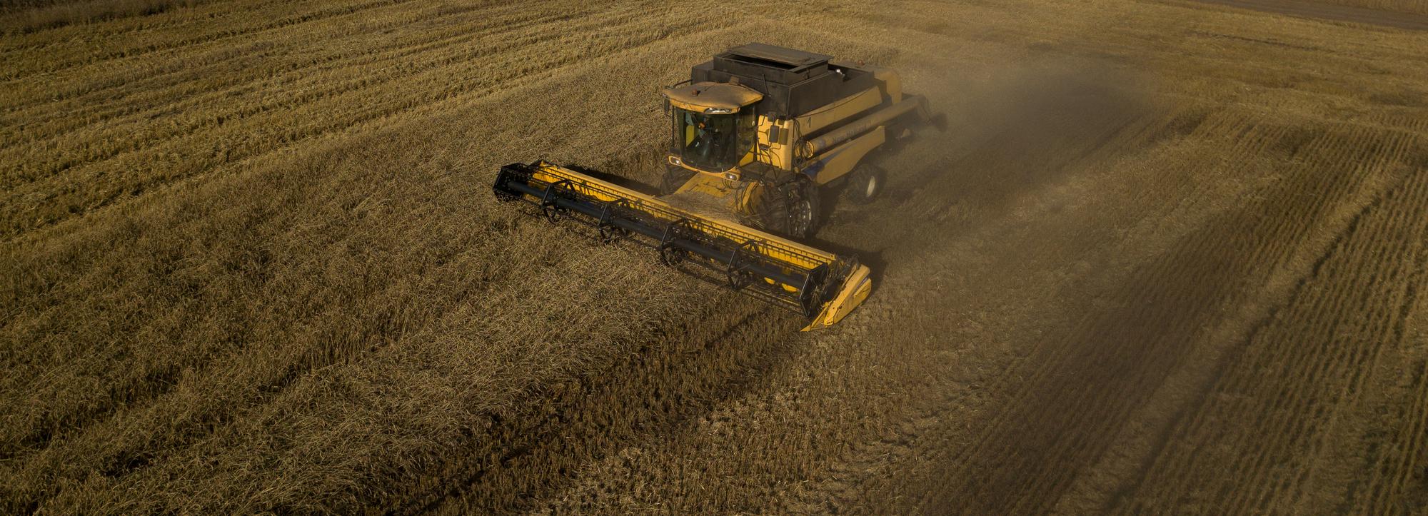 Темпы уборки зерновых восстановили в Новосибирской области