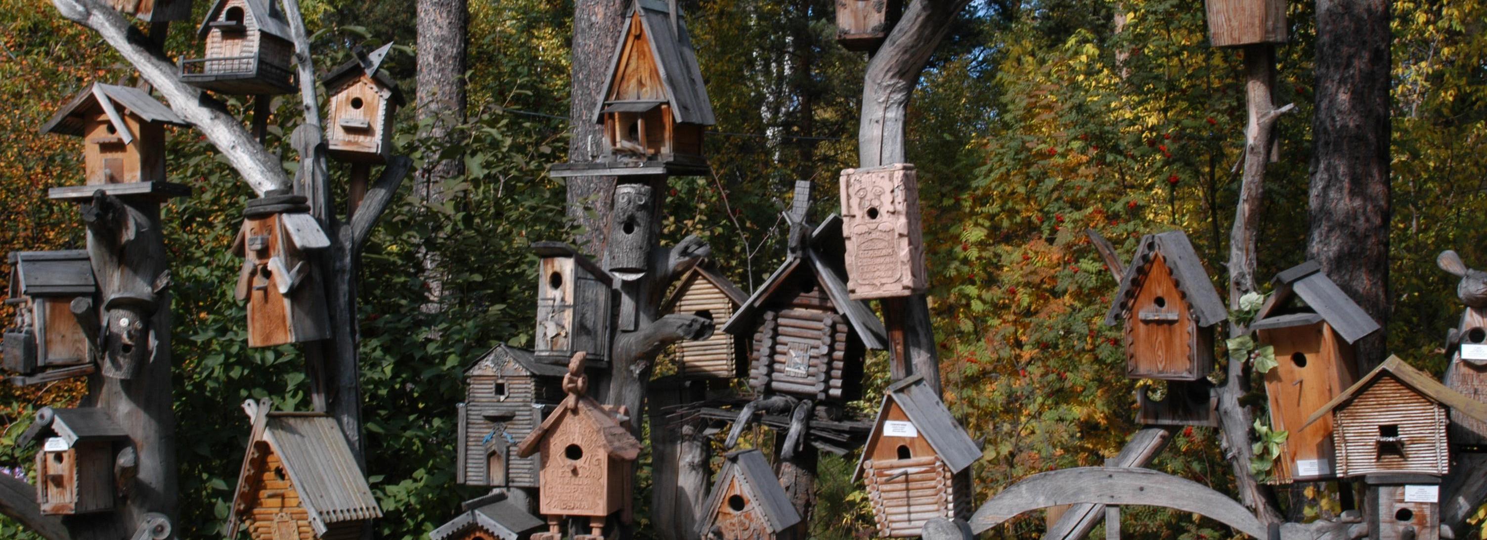 Конкурс «Дворец для скворца» объявили в Новосибирском зоопарке