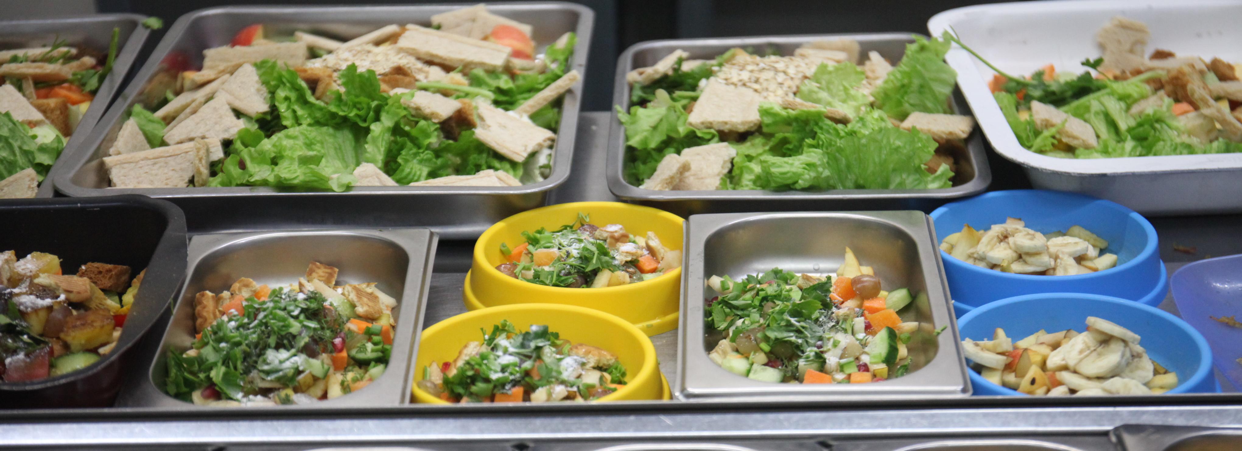 Салат с личинками: новосибирцам показали кухню зоопарка