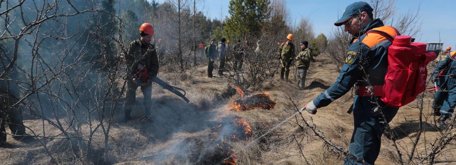 Пик лесных пожаров пройден в Новосибирской области