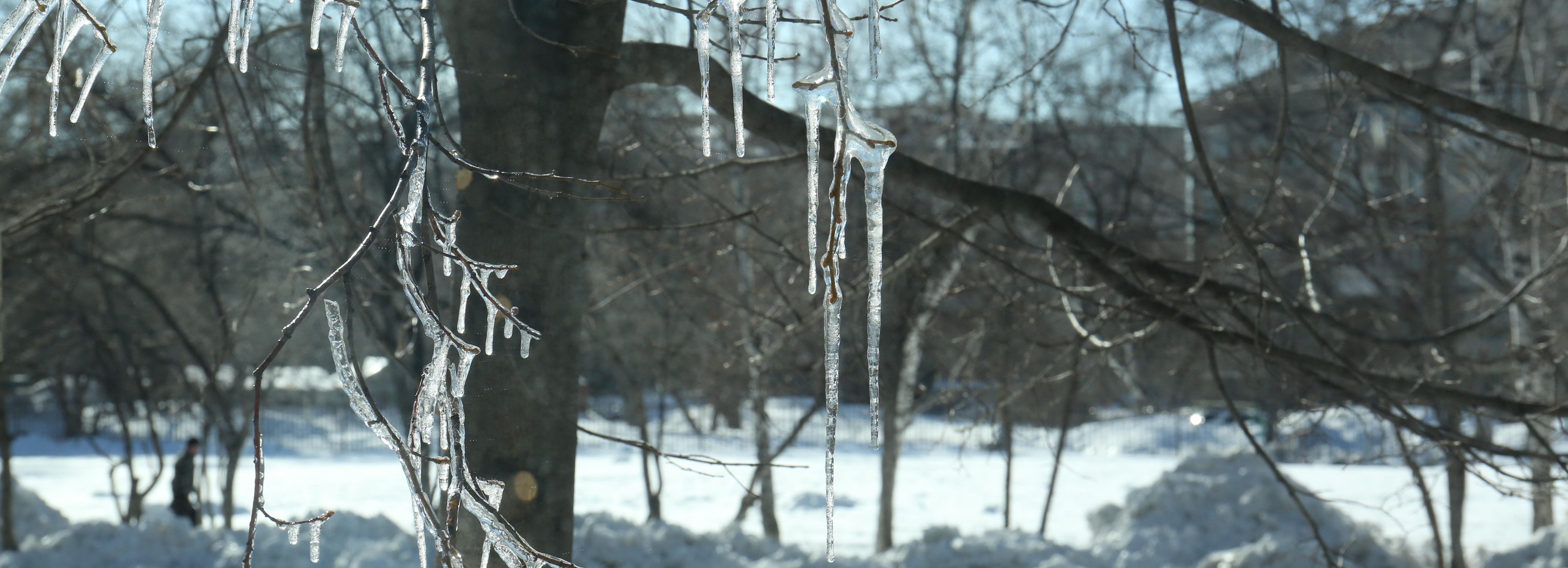 Необычно тёплый и снежный март спрогнозировали новосибирцам синоптики