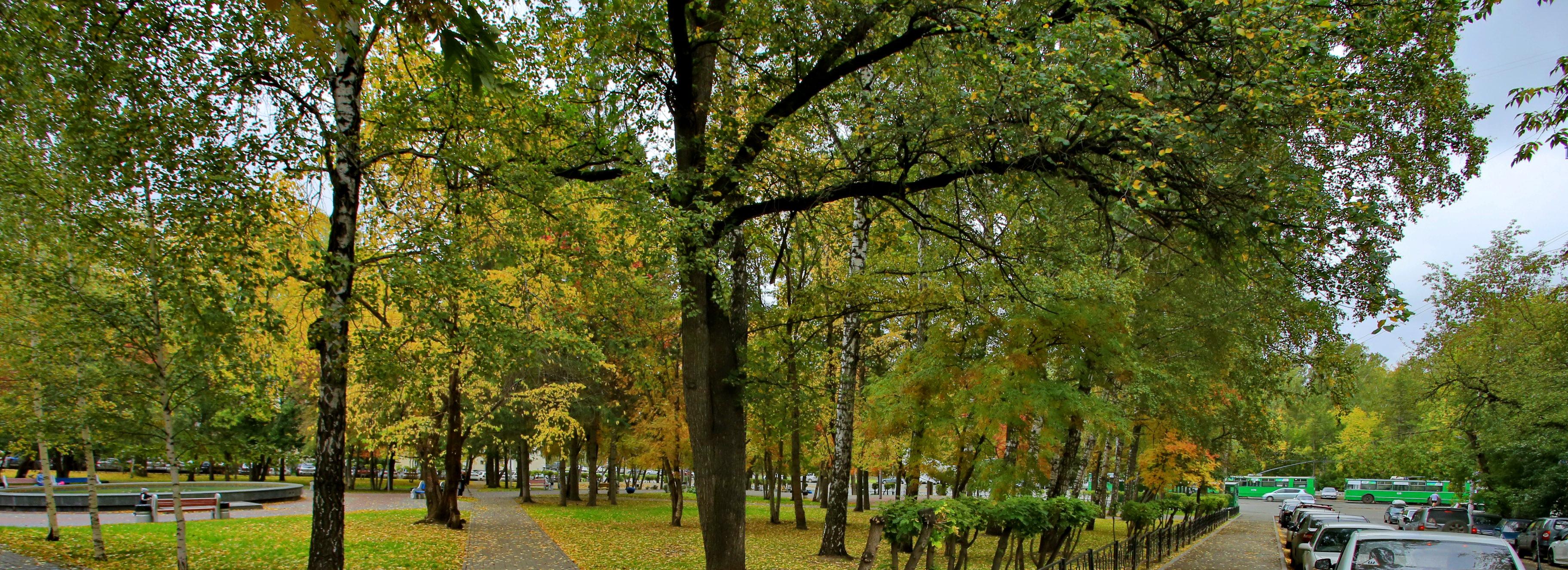 Мэрия запустила опрос о новой зелёной зоне в Ботаническом жилмассиве