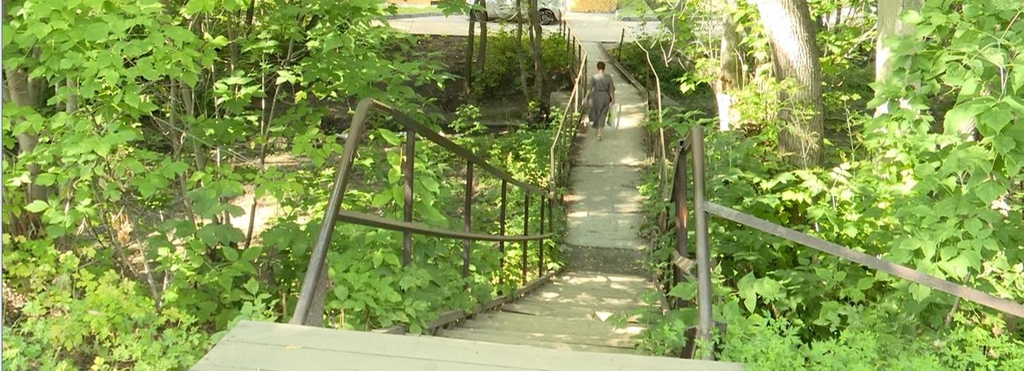 Парк, как нью-йоркский Хай-Лайн, появится в Академгородке