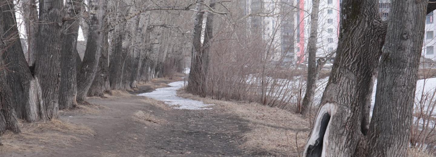 Волонтёры помогают новосибирцам проголосовать за название парка на Ине