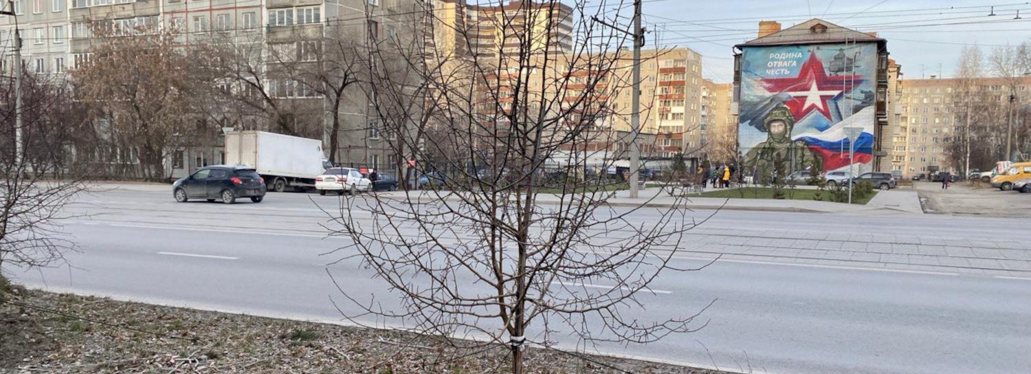 Морозостойкие груши и яблони зацветут на улице Авиастроителей