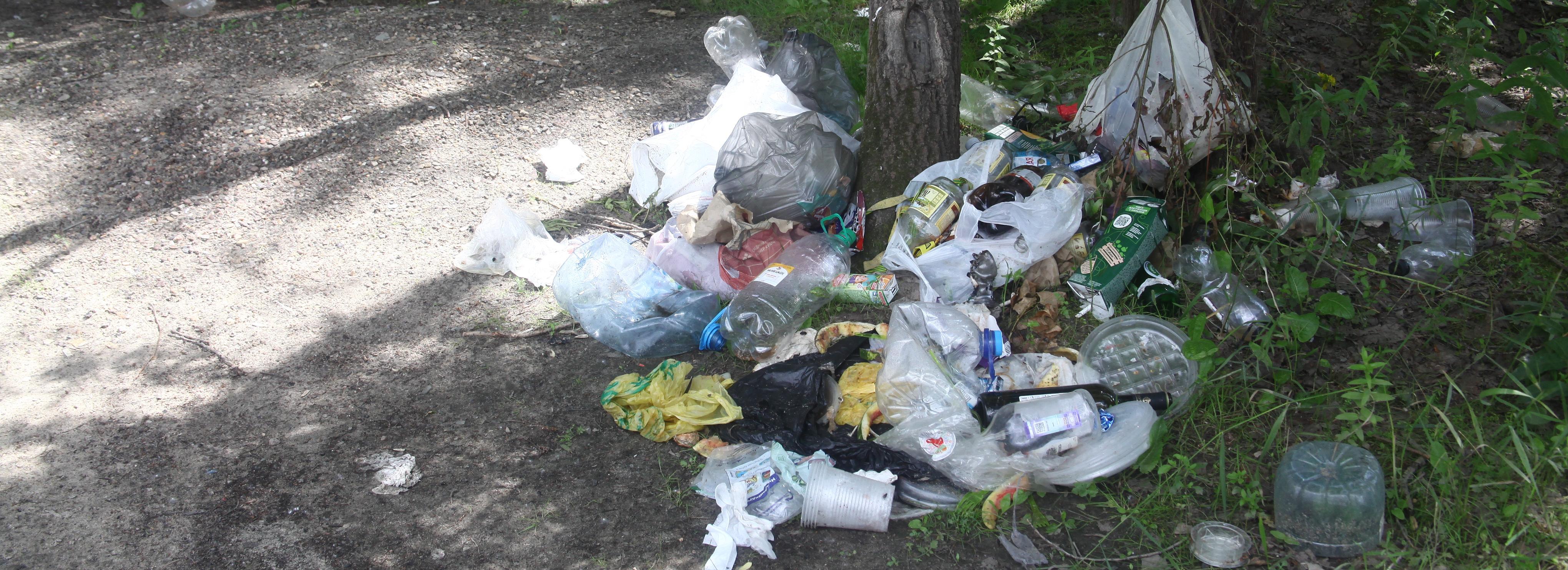 Футболисты нашли мини-свалку под Бугринским мостом в Новосибирске