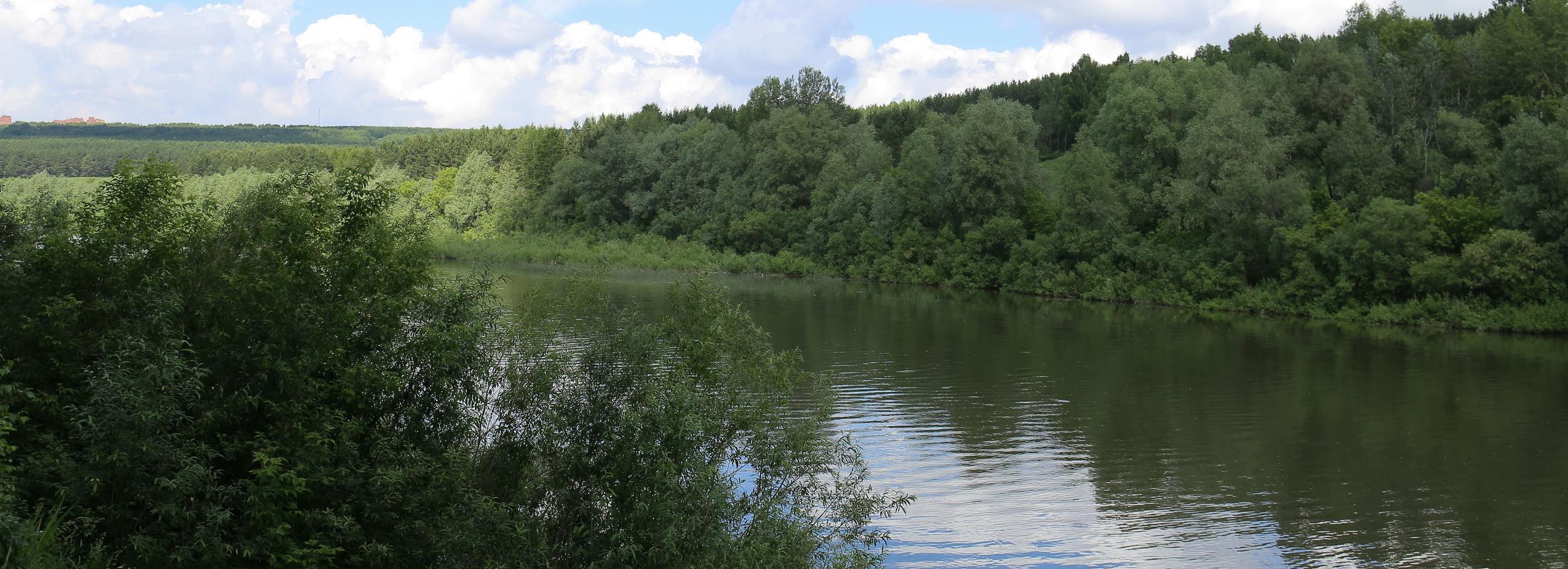 Важен каждый голос: новосибирцы выберут имя парку у реки Ини