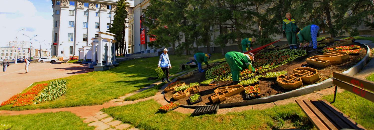 2500 бегоний украсили циферблат цветочных часов в Новосибирске