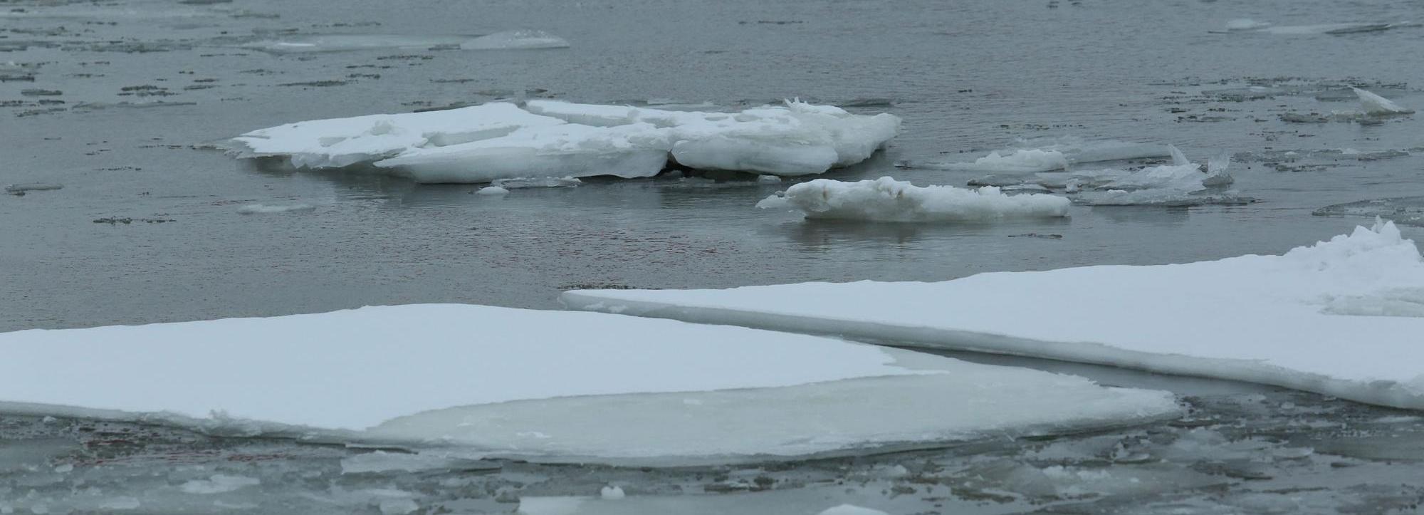 Ледостав начался на реках и озёрах Новосибирской области