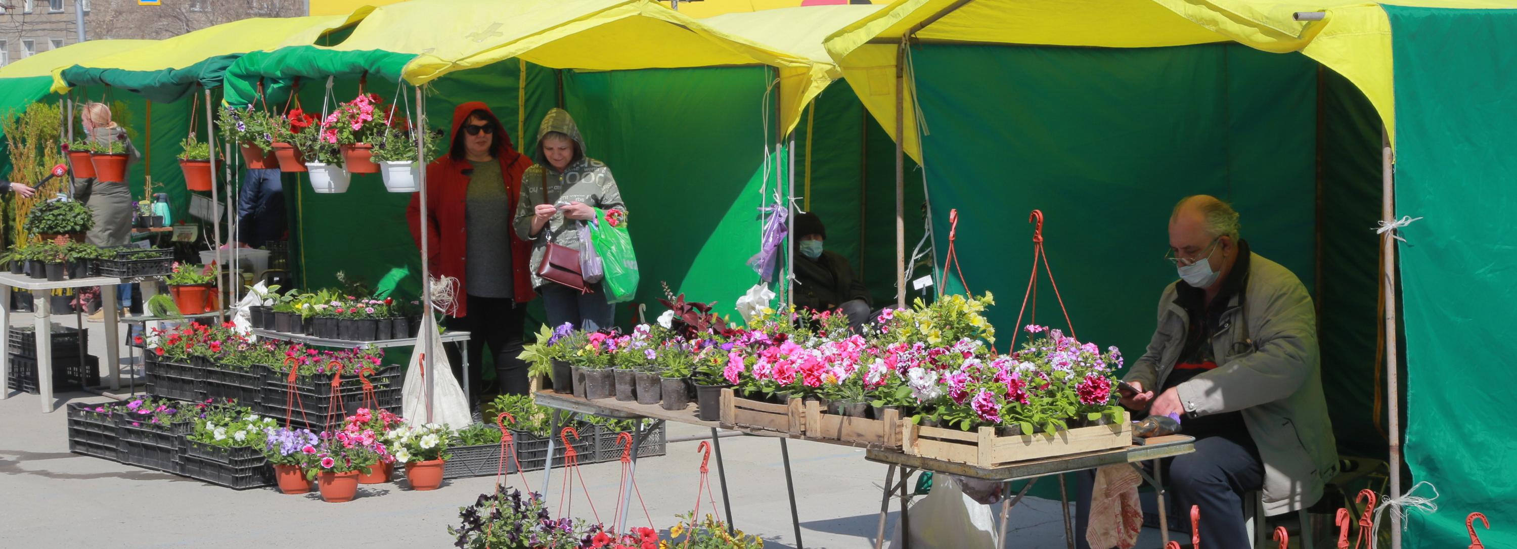 Петунии и плетёные ивы привезли на ярмарку возле ДК «Чкаловец»
