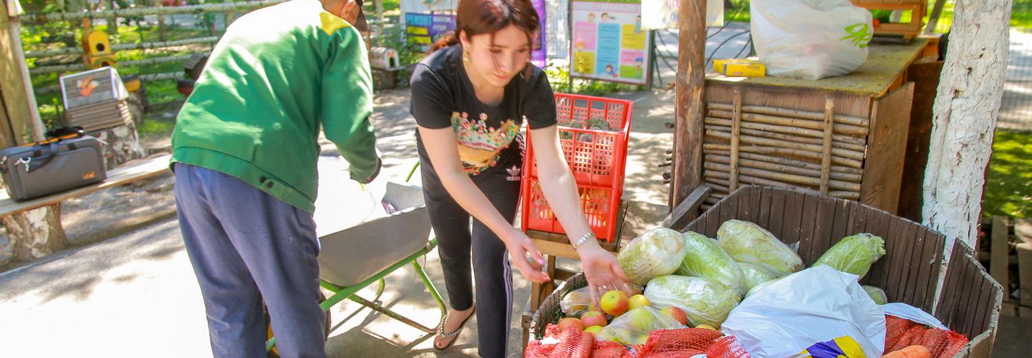 Новосибирцы собрали для пони-фермы 50 кг моркови, яблок и капусты