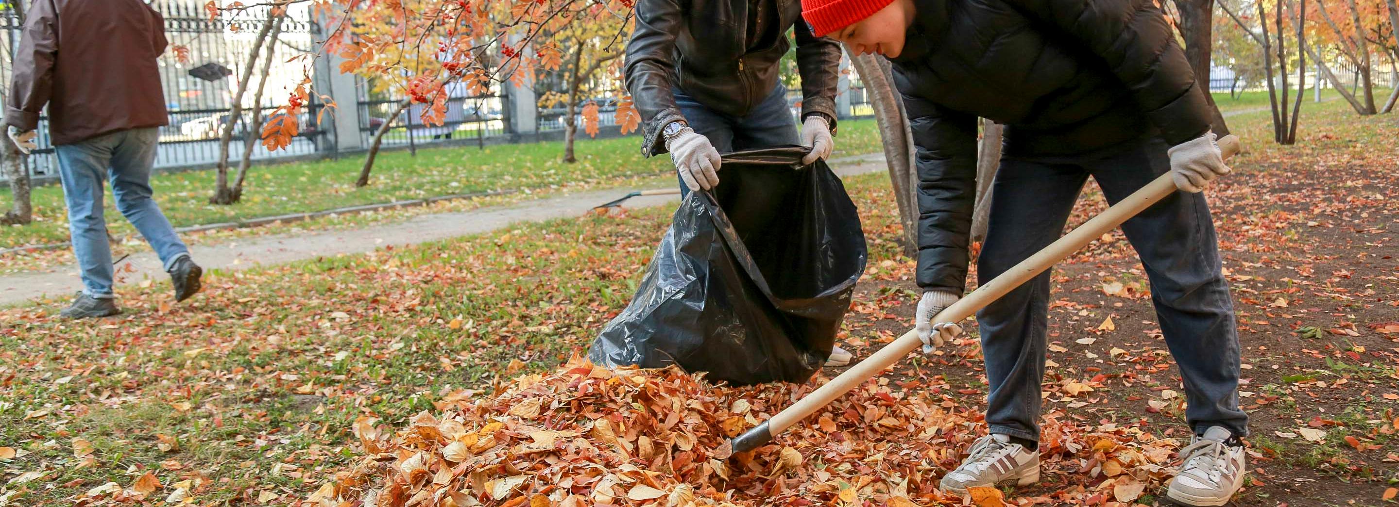 Непогода сорвала запланированный на 4 октября субботник в Новосибирске