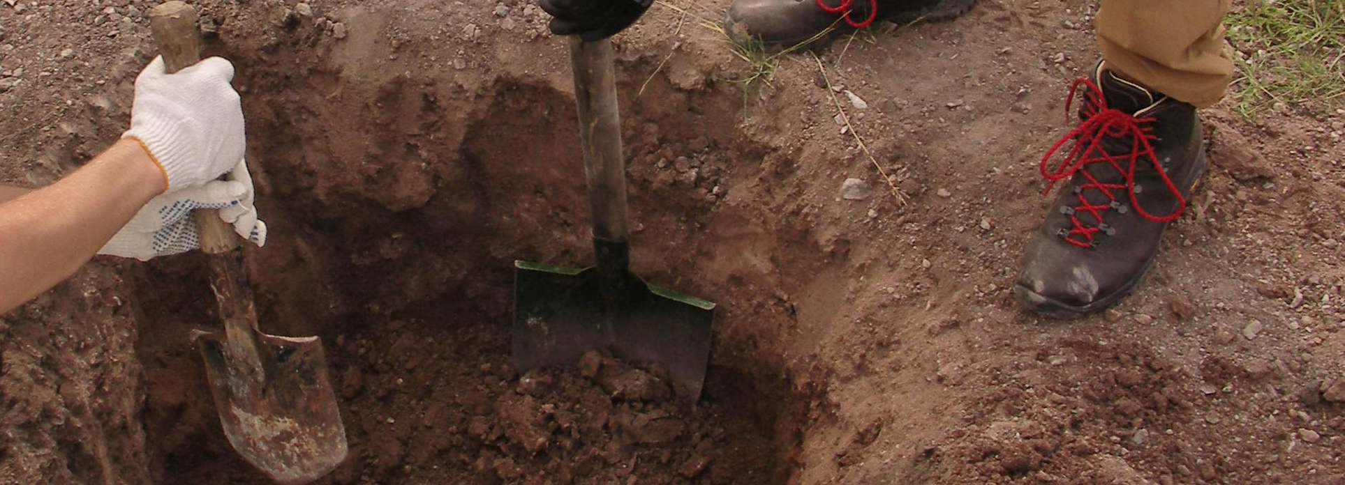 Владельцы коттеджей делают грядки на древних курганах под Новосибирском