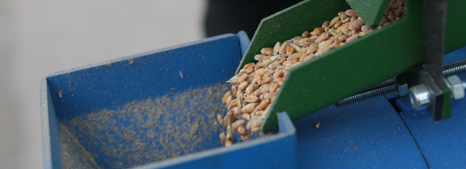 Минсельхоз: рекордный урожай зерна 2022 года сократит ущерб от засухи