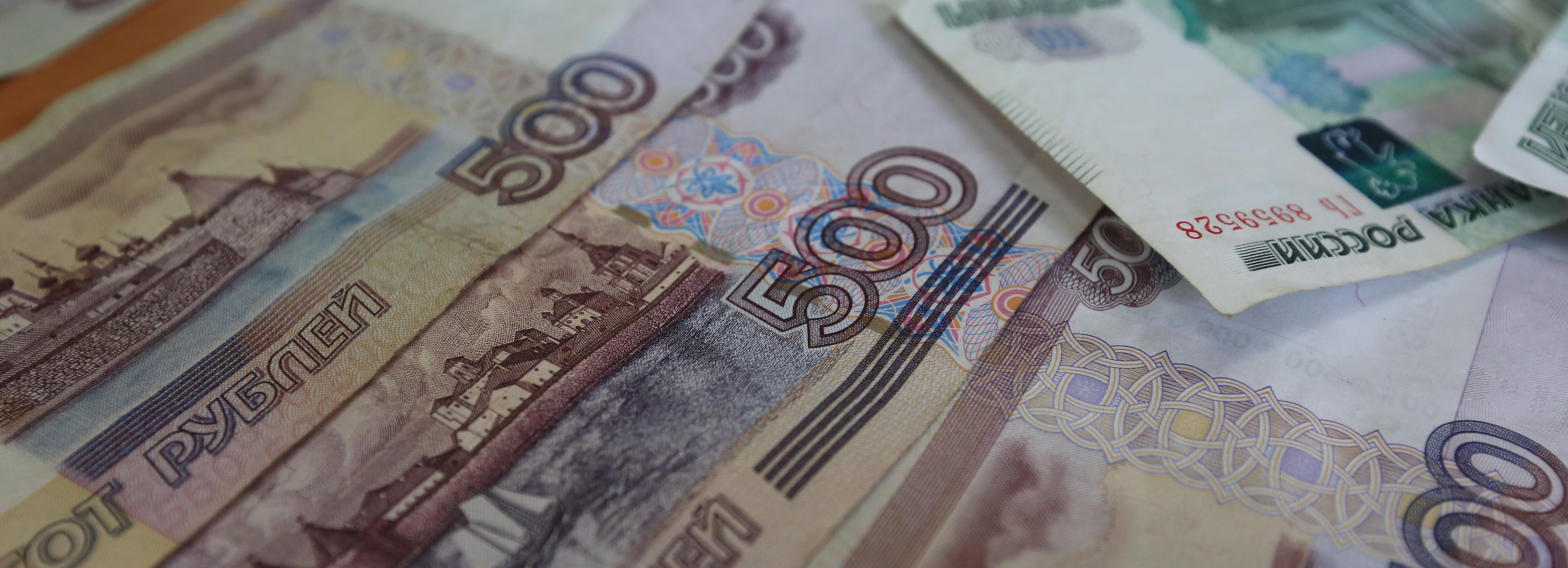 Фокстерьер Бьёрн не дал вывезти полмиллиона из Новосибирска в Стамбул