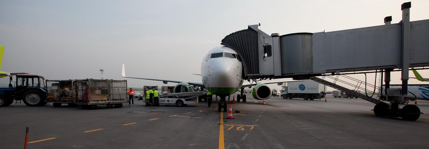 В аэропорту Толмачёво начали усиленно проверять пассажиров из-за опасного вируса