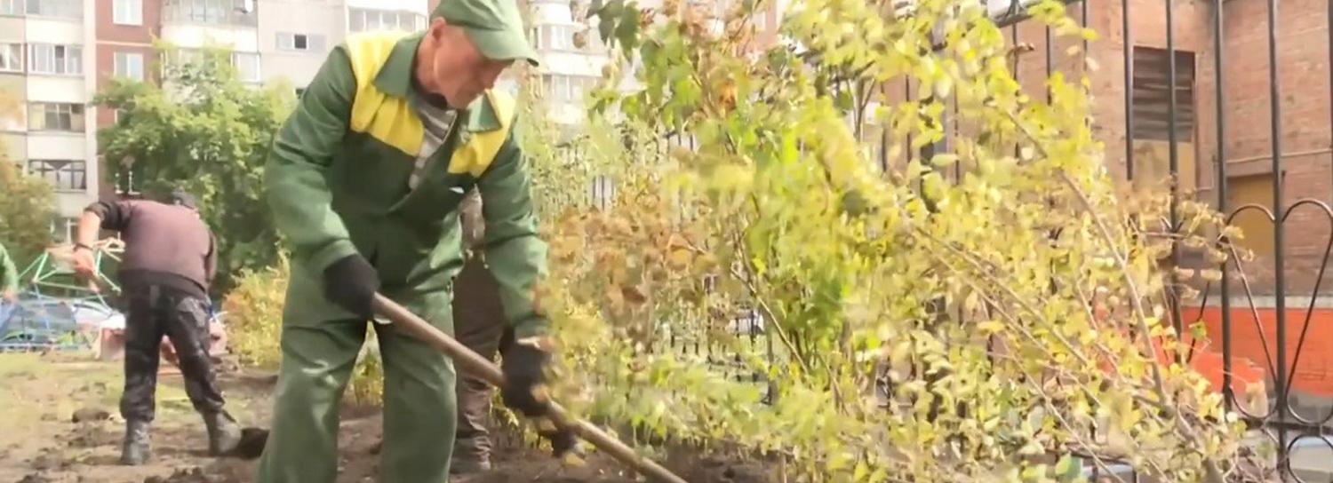 Первые растения посадят в новом питомнике Горзеленхоза этой осенью