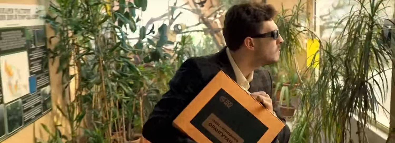 Шуточный ролик про орангутана Бату сняли в Новосибирском зоопарке