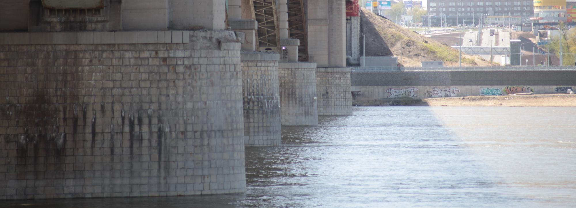 Причину массовой гибели рыбы в Оби назвал депутат заксобрания