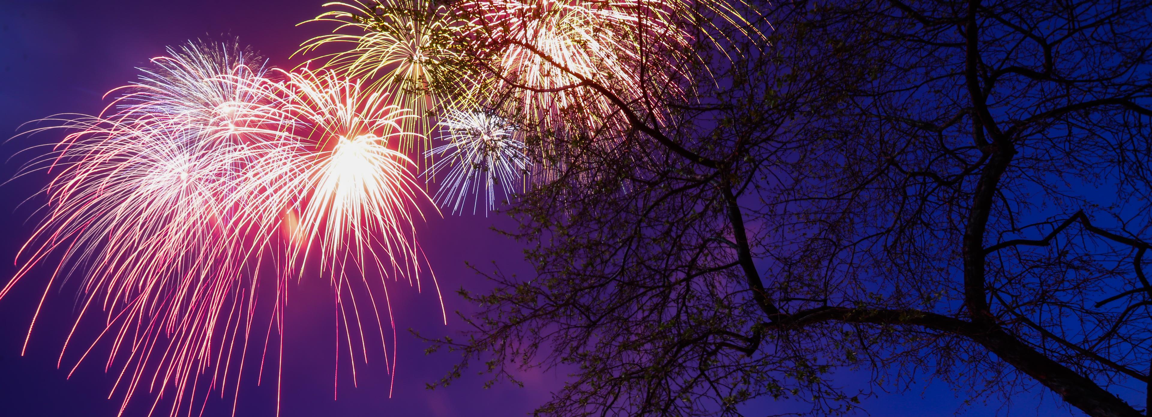 День города в Новосибирске не будет массовым из-за коронавируса