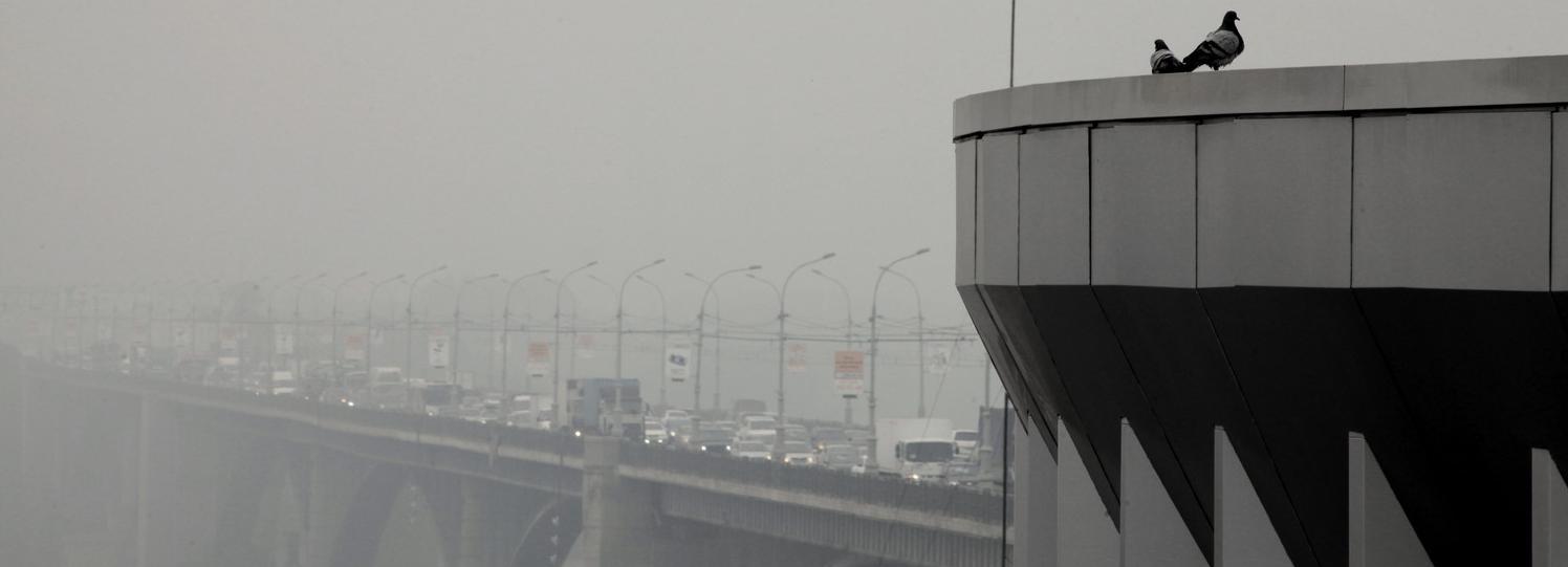 Режим чёрного неба объявили на 12 августа в Новосибирске