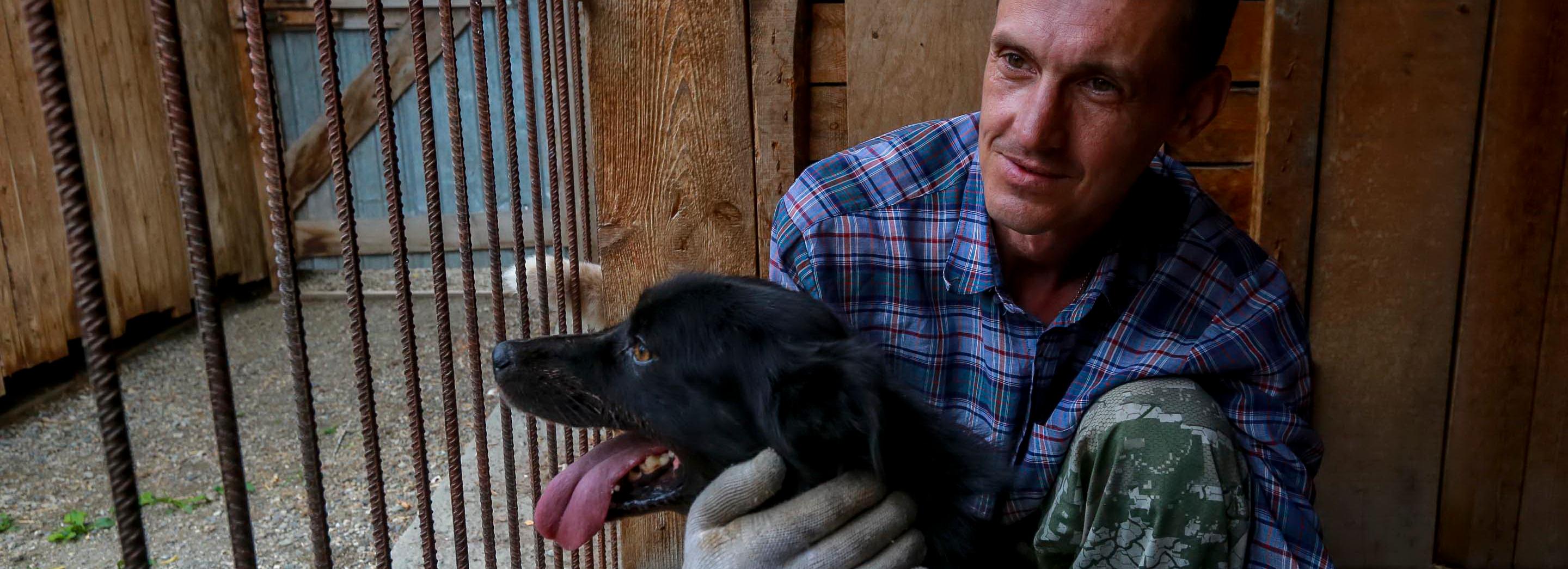 Верный друг Дима: как новосибирец заботится о сотне собак в приюте