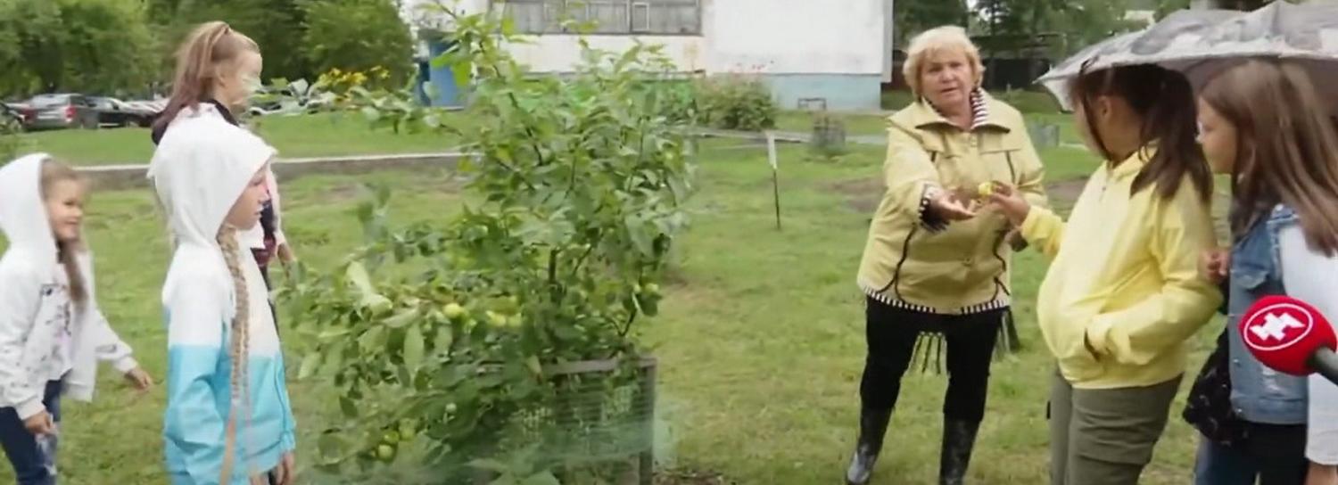 Первый урожай собрали в яблоневом саду во дворе Новосибирска