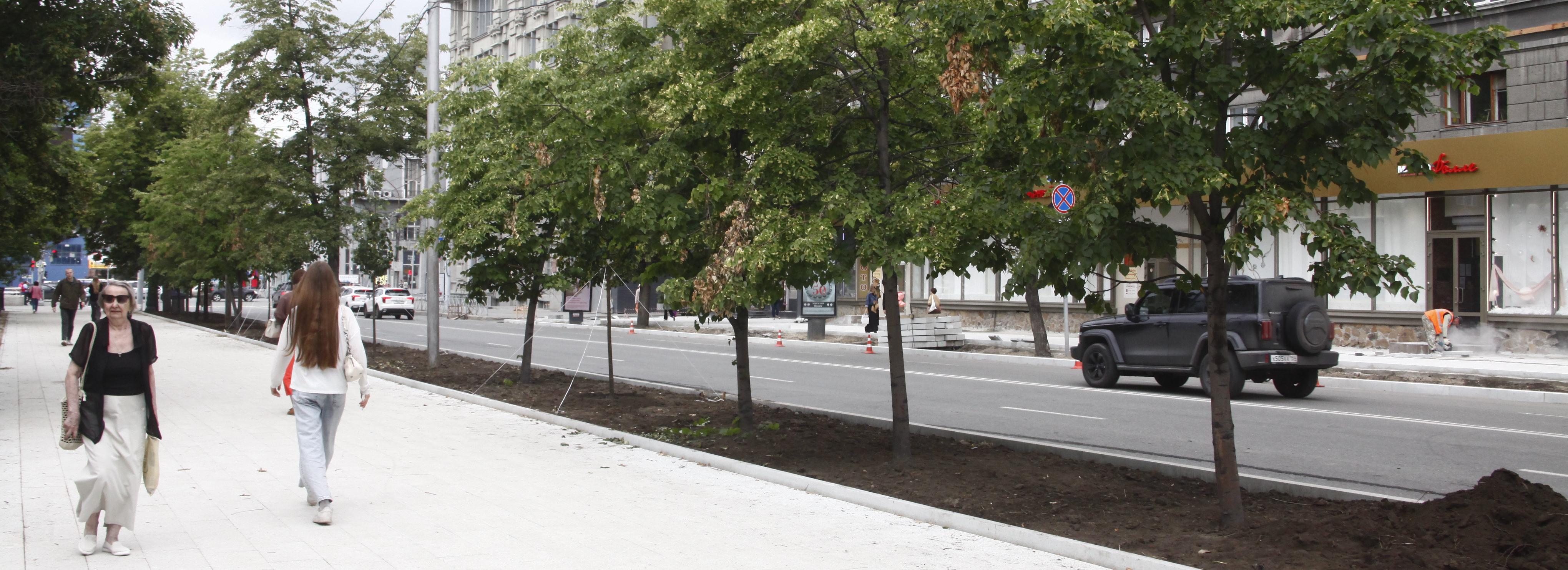 Если вы пропустили: липы «Гринспаер», операция «Антипыль» и редкие малыши