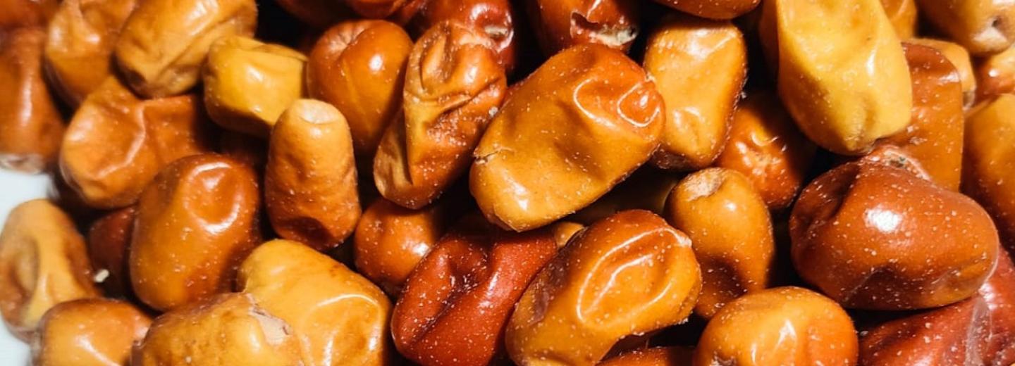 Сибирский сыр с ягодами лоха серебристого заинтересовал китайских учёных